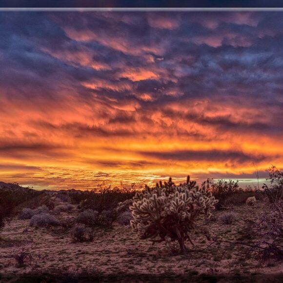 Some Amazing JT sunsets! - Picture 13 of 16